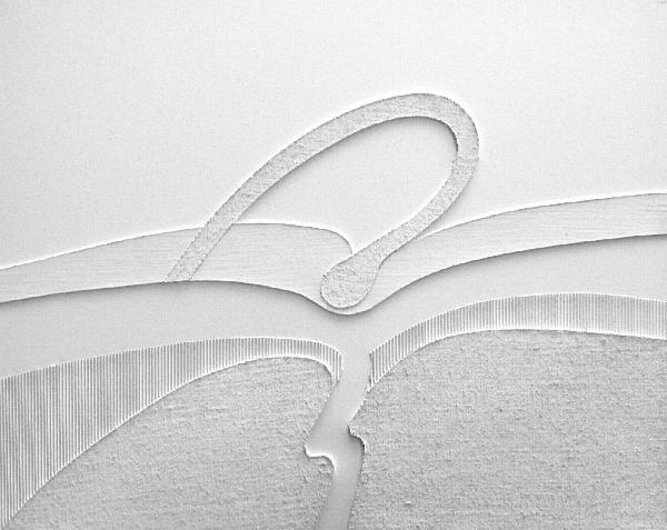 Concepimento,2008,100x80